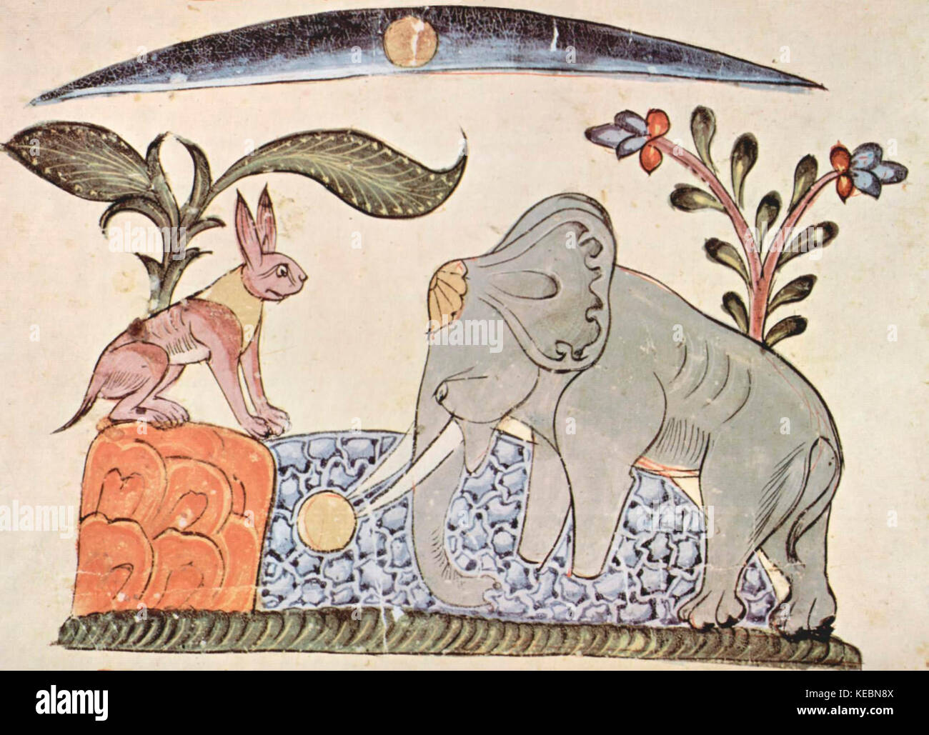 Kalila et Dimma de Bidpai, scène : le lièvre et l'éléphant roi avant la réflexion de la lune dans le ressort du Panchatantra Banque D'Images