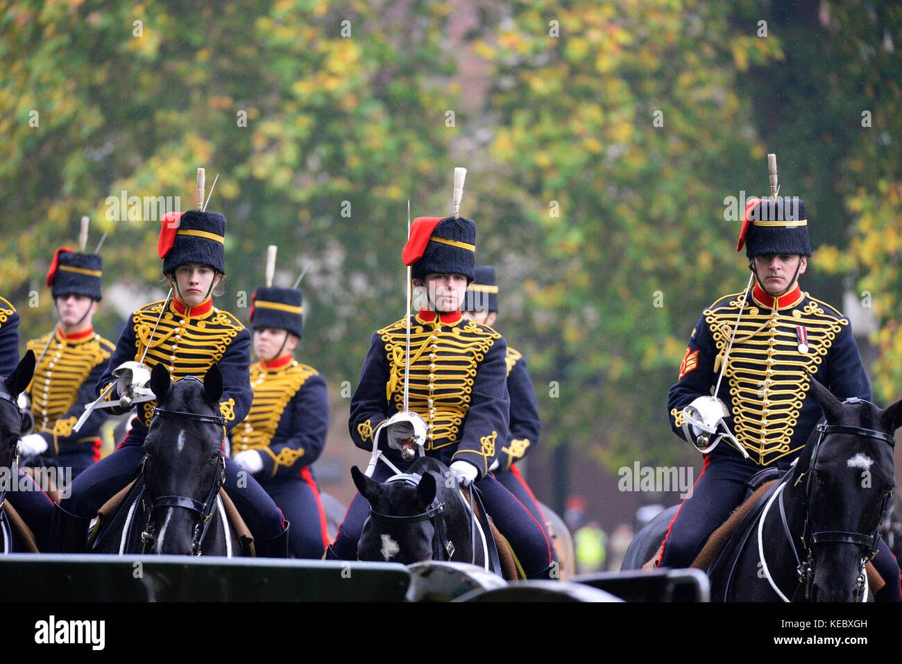 La reine a assisté à une revue royale de la troupe royale d'artillerie à cheval du roi pour leur 70e anniversaire à Hyde Park, à Londres Banque D'Images