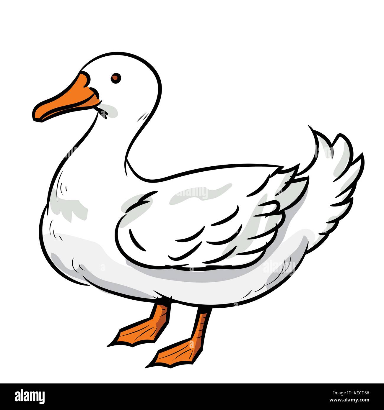 Illustration de l'article de canard isolé sur fond blanc. pour l'illustration. vecteur. Illustration de Vecteur