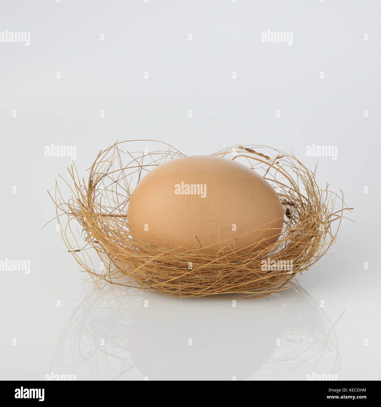 Brown avec œufs biologiques nest isolé sur fond blanc tourné en studio Banque D'Images