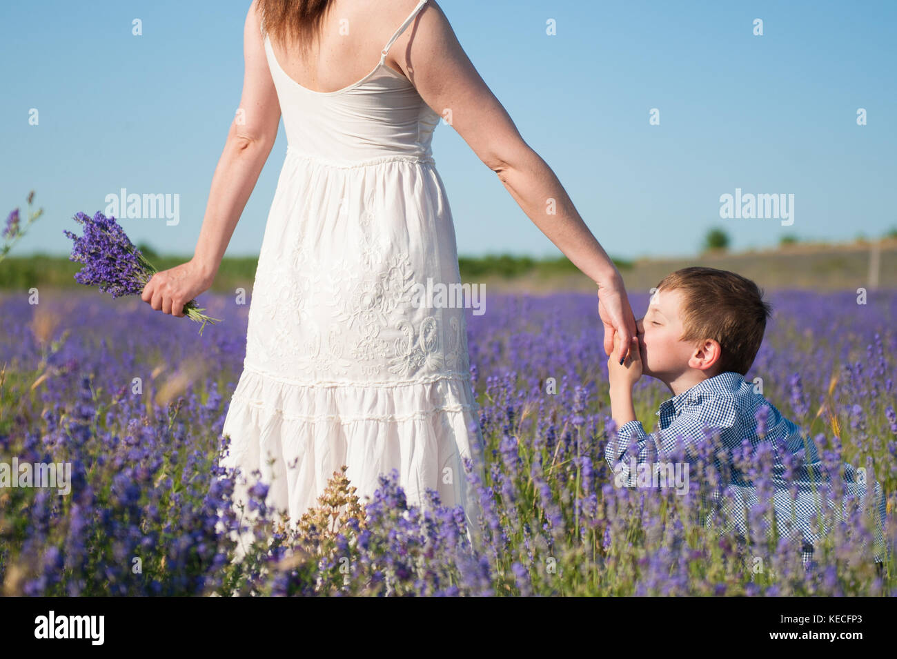 Enfant mignon petit baiser la main de sa mère avec l'amour et de la tendresse entre champ de lavande en fleurs Banque D'Images