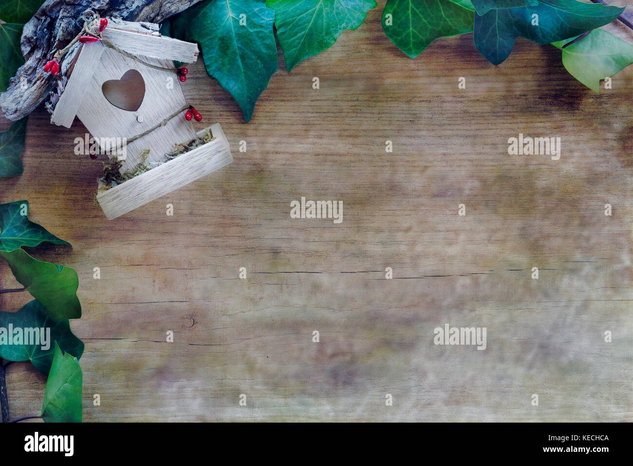 Frontière à partir de feuilles de lierre, décoration et jardinage outil sur abstract background. Vue de dessus et copy space Banque D'Images