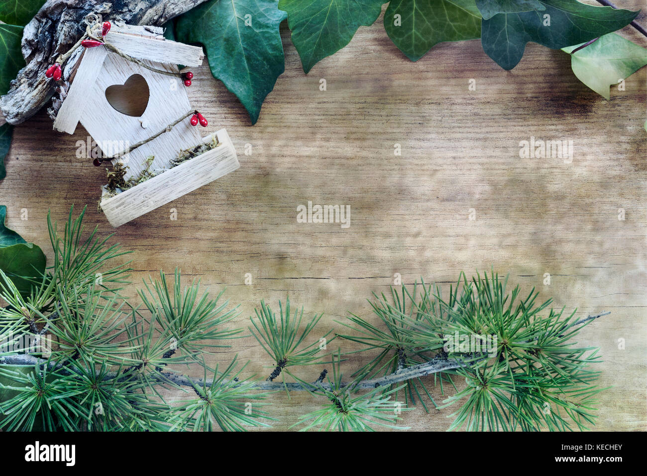 Frontière à partir de feuilles de lierre et de branches de sapins, décoration et jardinage outil sur abstract background. Vue de dessus et copy space Banque D'Images