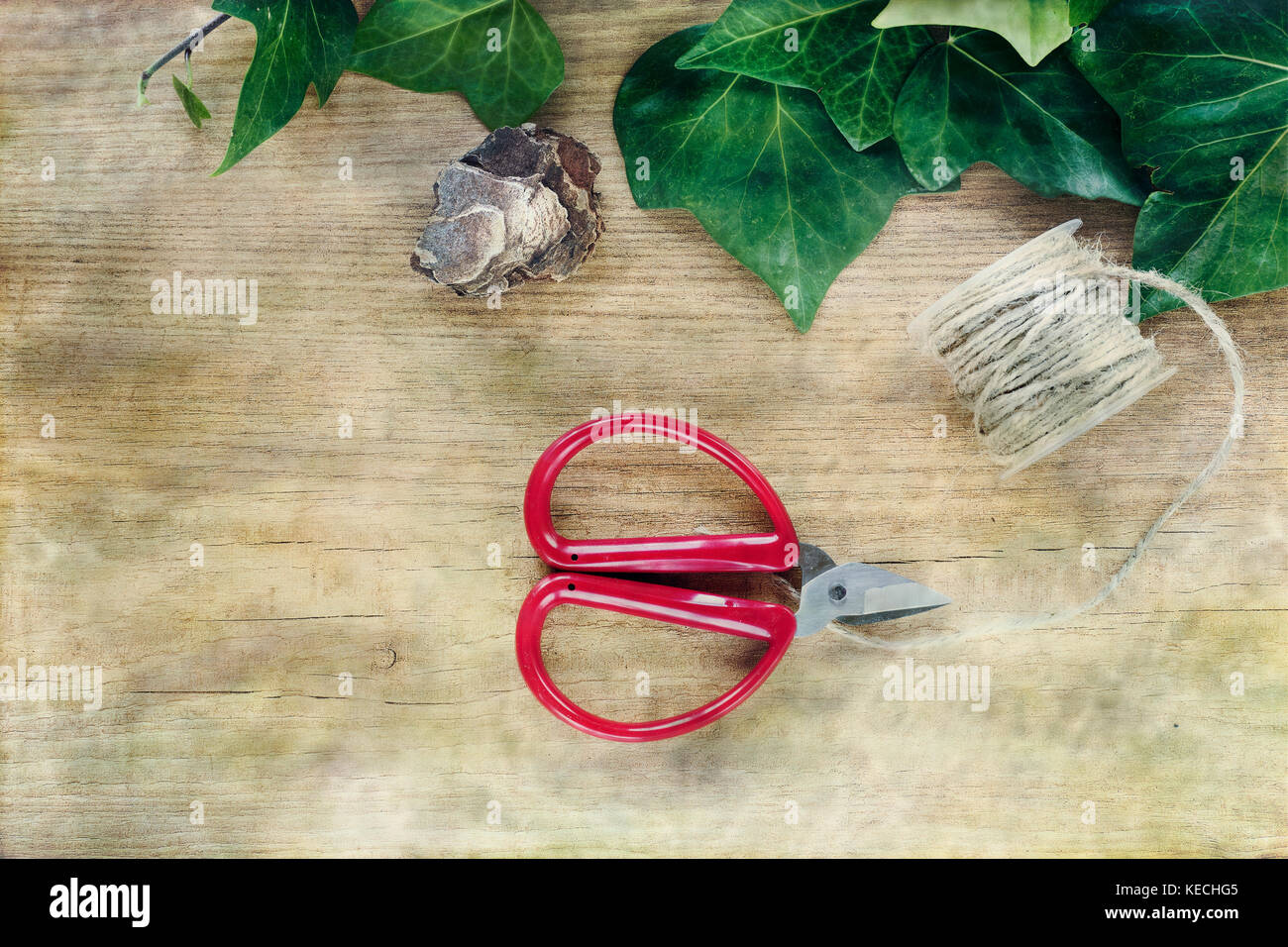 Frontière à partir de feuilles de lierre, décoration et jardinage outil sur abstract background. Vue de dessus et copy space Banque D'Images