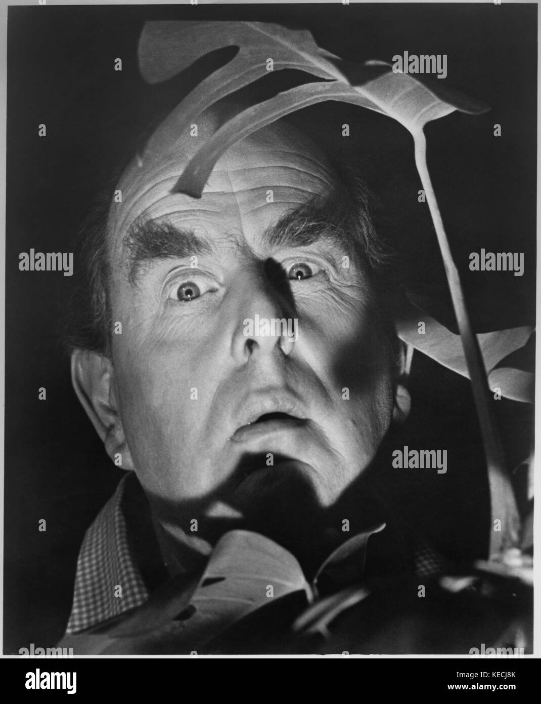 Robert Morley, portrait publicitaire pour le film, topkapi', 'United Artists, 1964 Banque D'Images