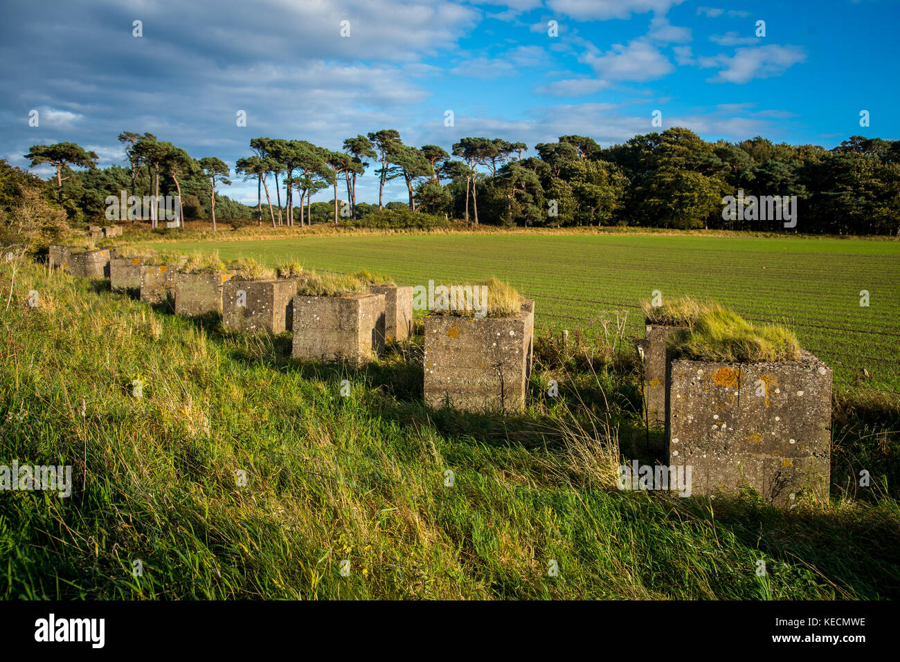 Marcher sur le chemin entre John Muir Dunbar et East Linton en Ecosse Banque D'Images