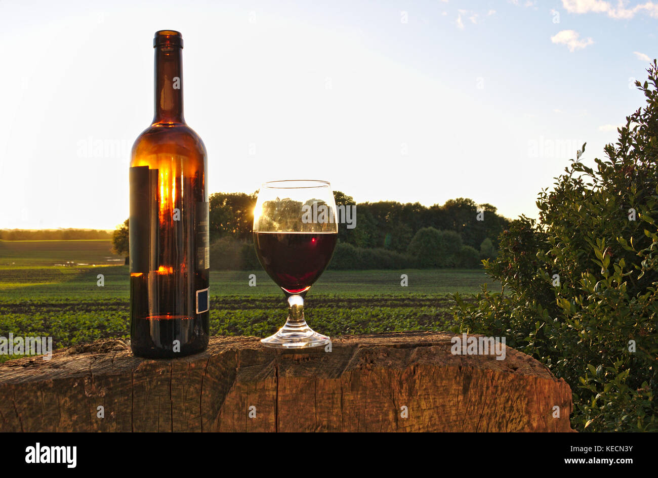 Verre de vin rouge avec bouteille sur la souche d'arbre avec des champs verts, Bush et le coucher du soleil dans l'arrière-plan Banque D'Images