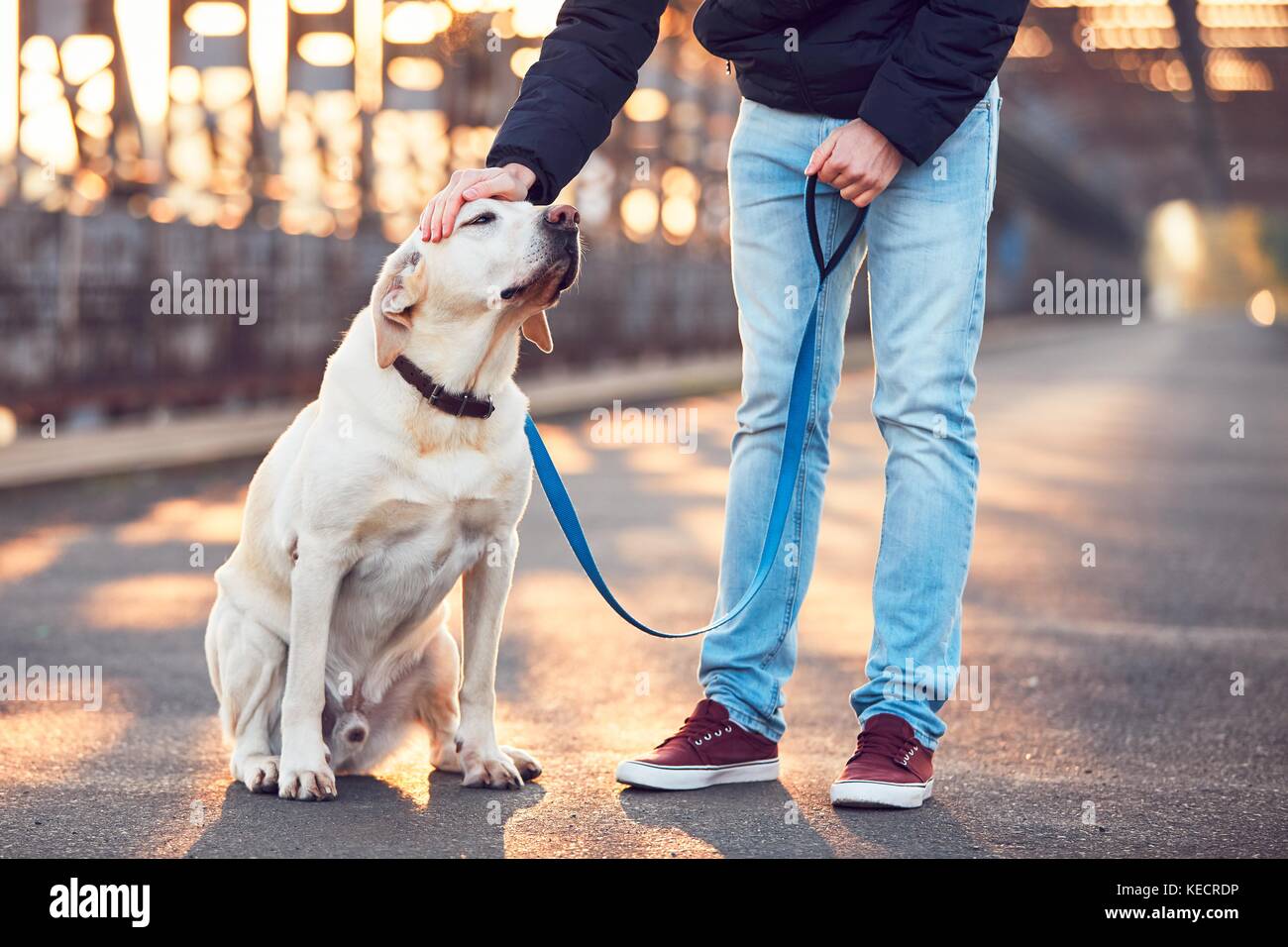 Promenade avec chien. jeune homme avec son labrador retriever sur le pont de fer au lever du soleil. Banque D'Images
