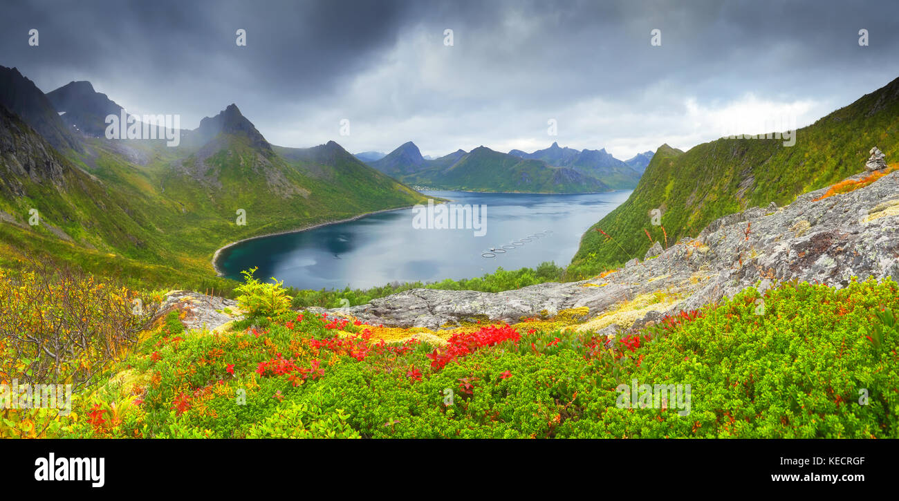 Téléthon automne scène. jour d'automne sur la norvège fjord. vue panoramique à fjord bleu par jour nuageux. Banque D'Images