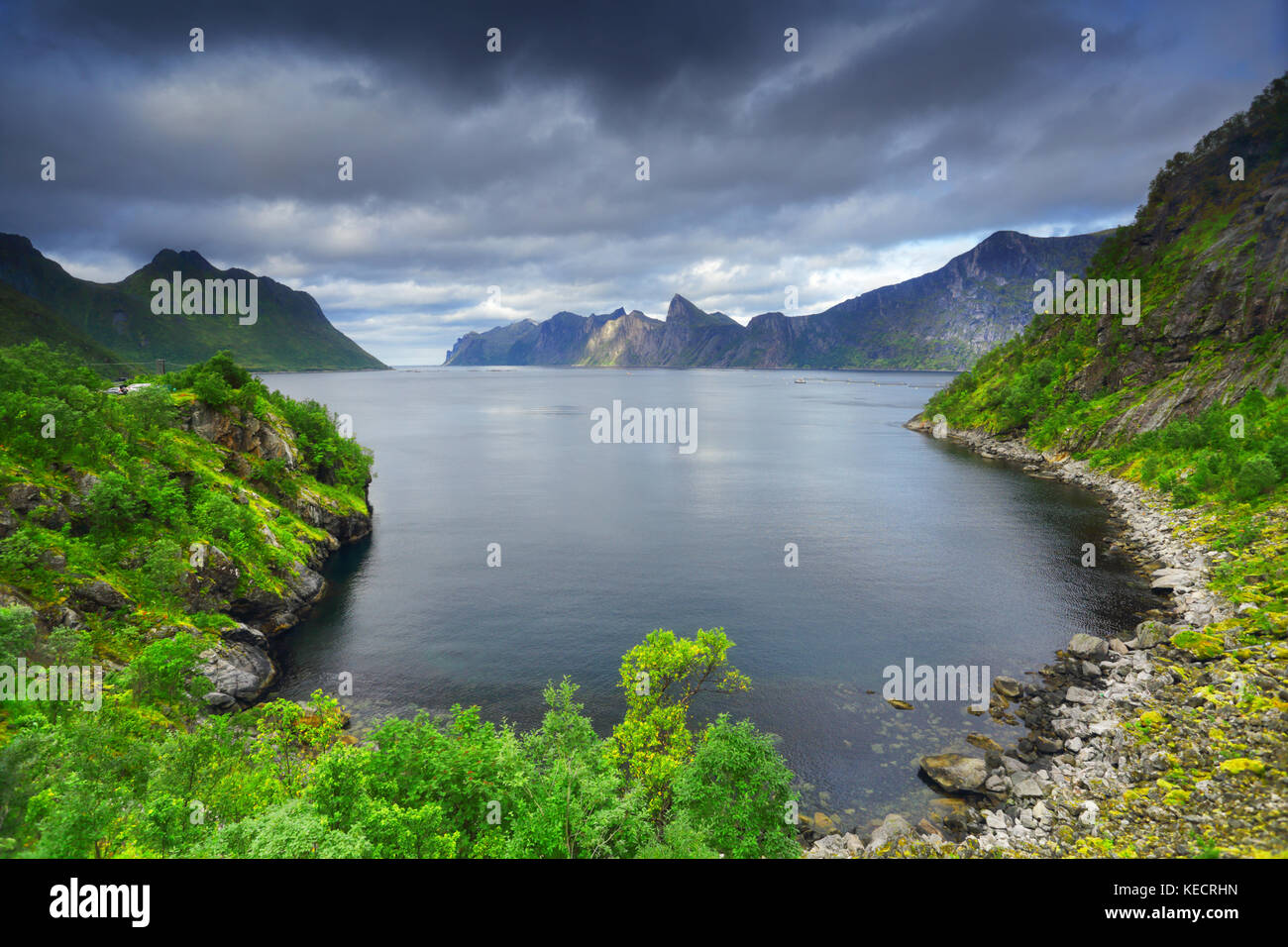 Scène naturelle d'été en Norvège. green rives du fjord sur une journée ensoleillée sur l'île de senja fjords.. Banque D'Images
