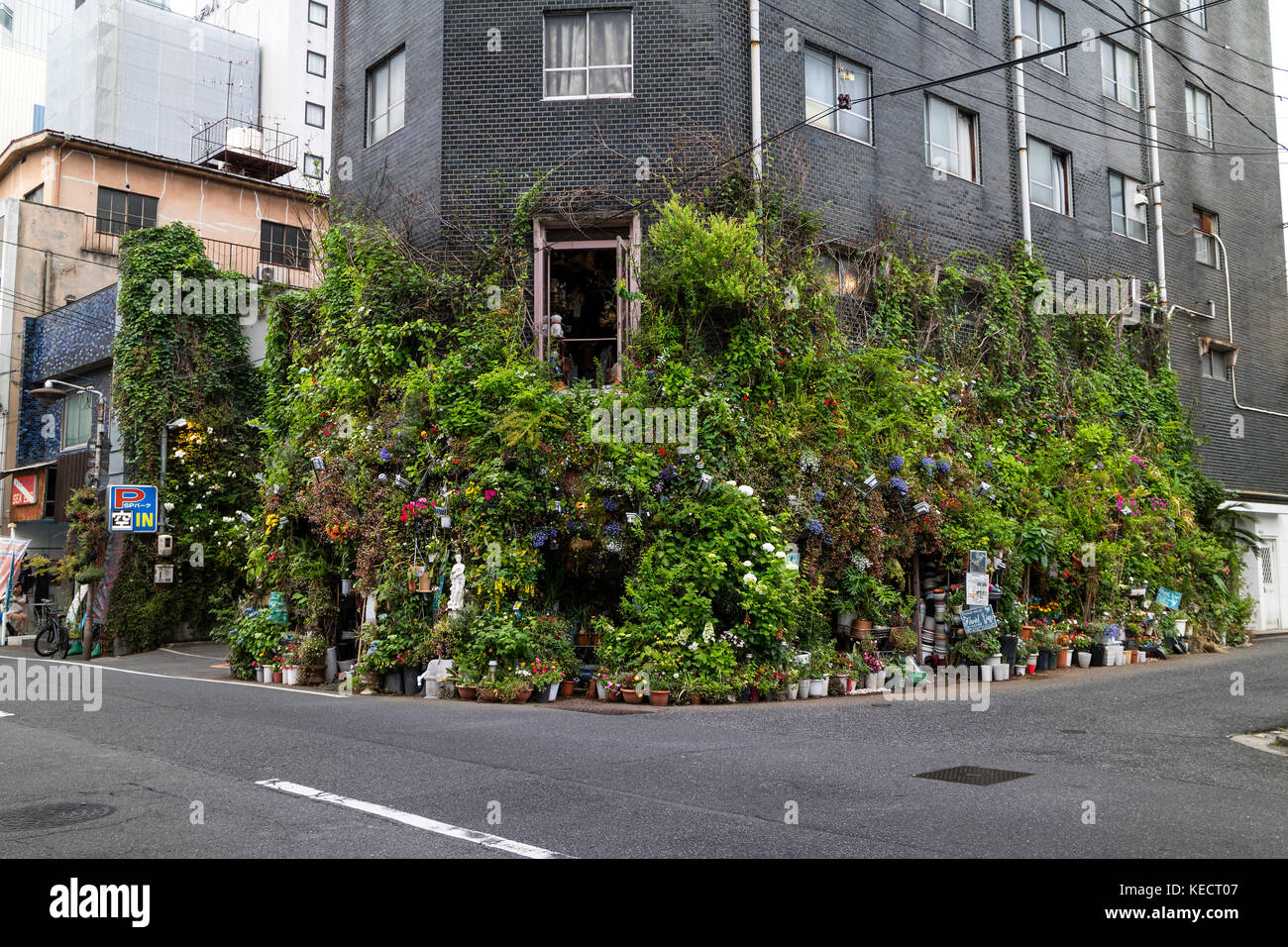 Hiroshima, Japon - 23 mai 2017 : rue d'un coin d'une rue à Hiroshima avec beaucoup de plantes vertes et de fleurs pour décoration Banque D'Images