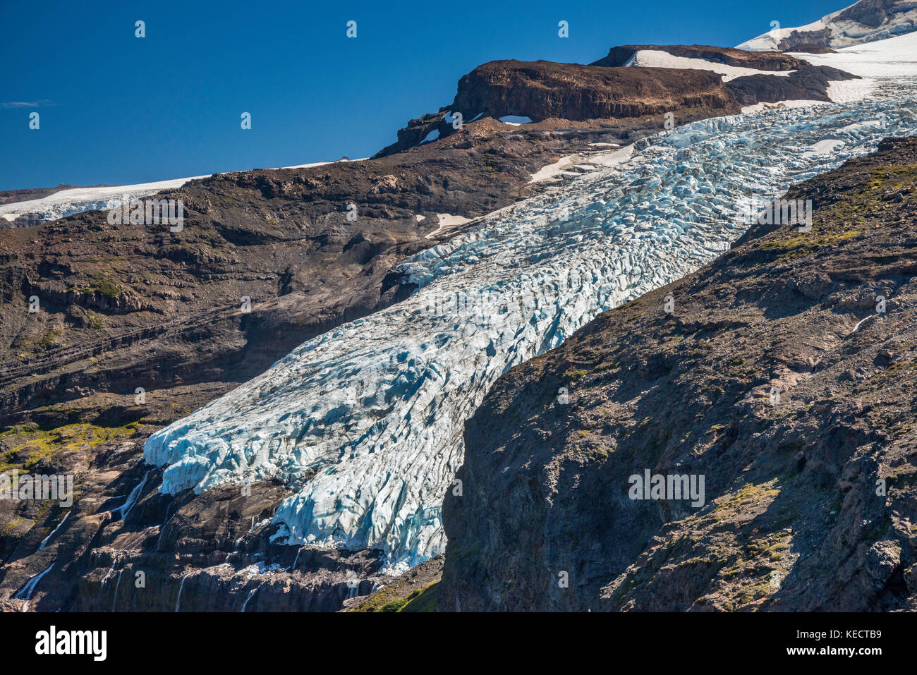 Glacier Overa Castano, Monte Tronador massif, de trail à Refuge Otto Meiling, Parc National Nahuel Huapi, Patagonie, Argentine Banque D'Images