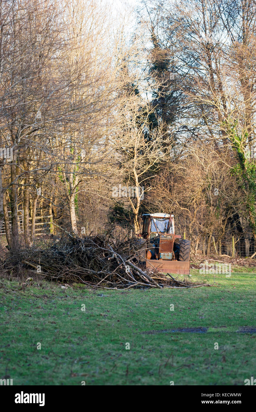 Vintage Ford Comté tracteur utilisé pour tirer le bois Banque D'Images