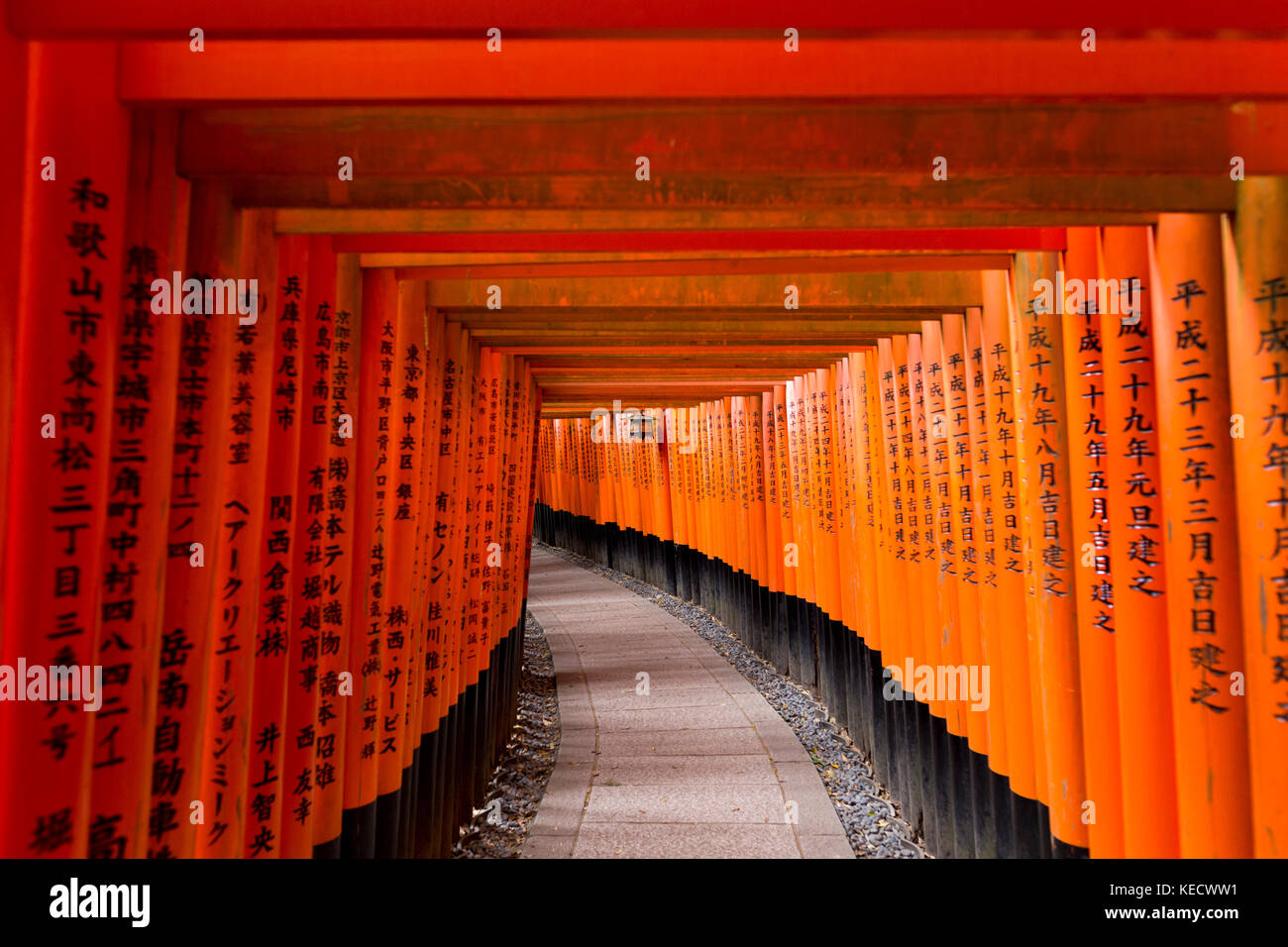 Kyoto, Japon - 9 mai 2017 : torii gates à Fushimi Inari taisha. Fushimi Inari taisha est un sanctuaire shinto situé dans le sud de Kyoto, au Japon. Banque D'Images