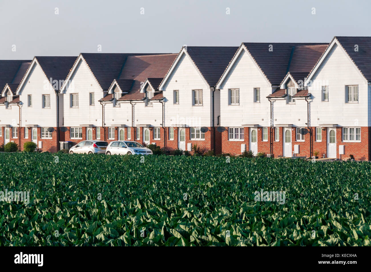 De nouveaux logements sur le bord de Broadstairs dans le Kent, donnant sur les champs agricoles Banque D'Images