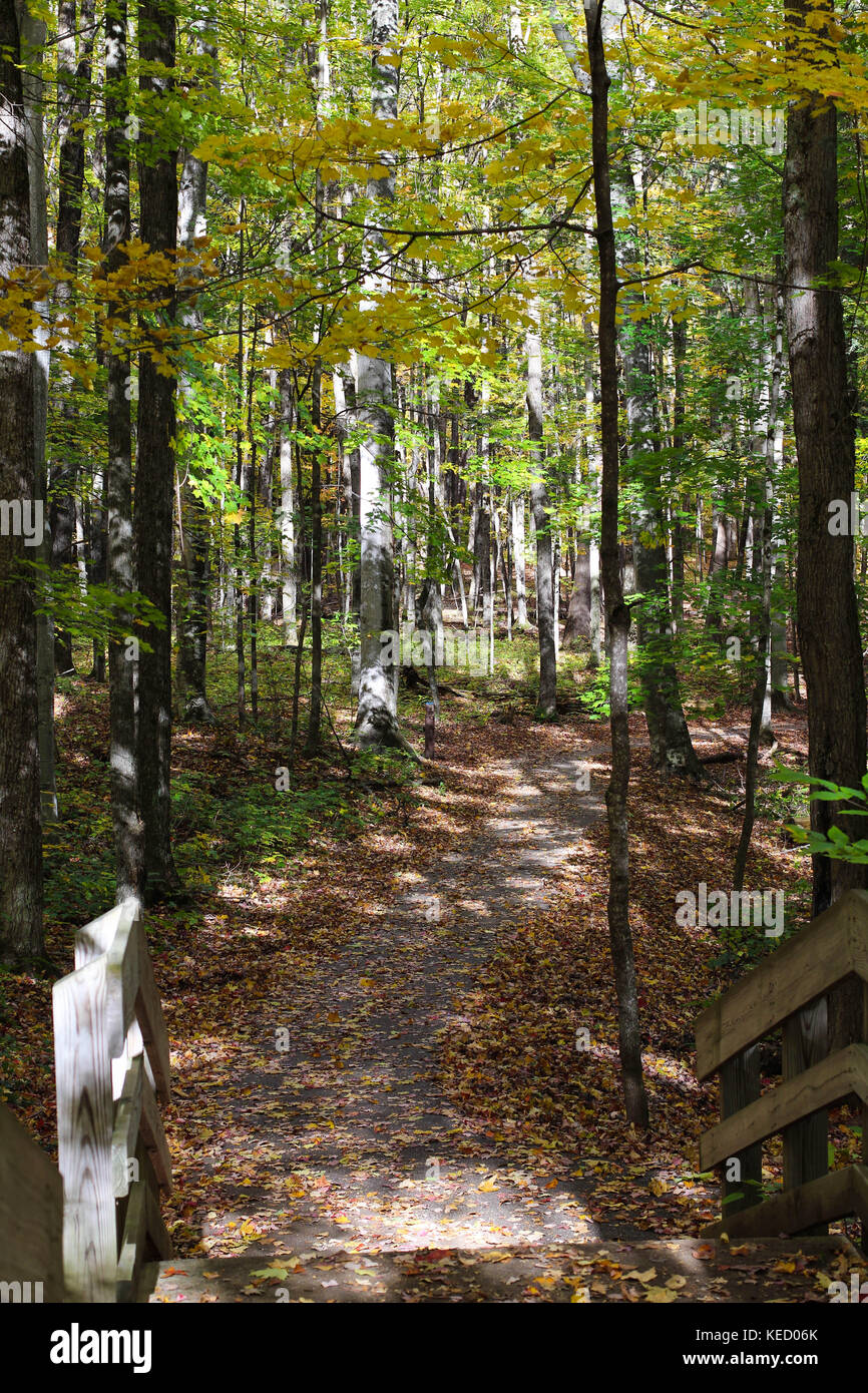 Une belle promenade en bois bridge dans le nord du Michigan en octobre avec des couleurs d'automne et les feuilles Banque D'Images