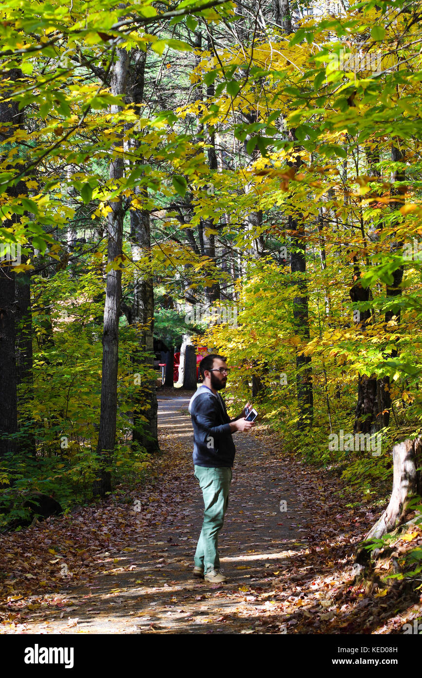 Un homme bénéficie d'une promenade dans le nord du Michigan en octobre entouré par de belles couleurs d'automne et à l'évolution des feuilles Banque D'Images