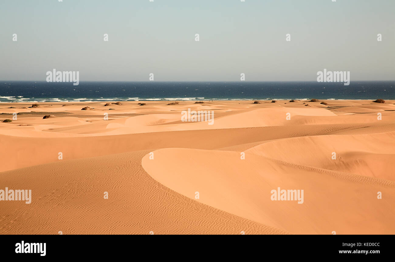 Paysage de dunes, Maspalomas, Gran Canaria, îles canaries, espagne. Banque D'Images