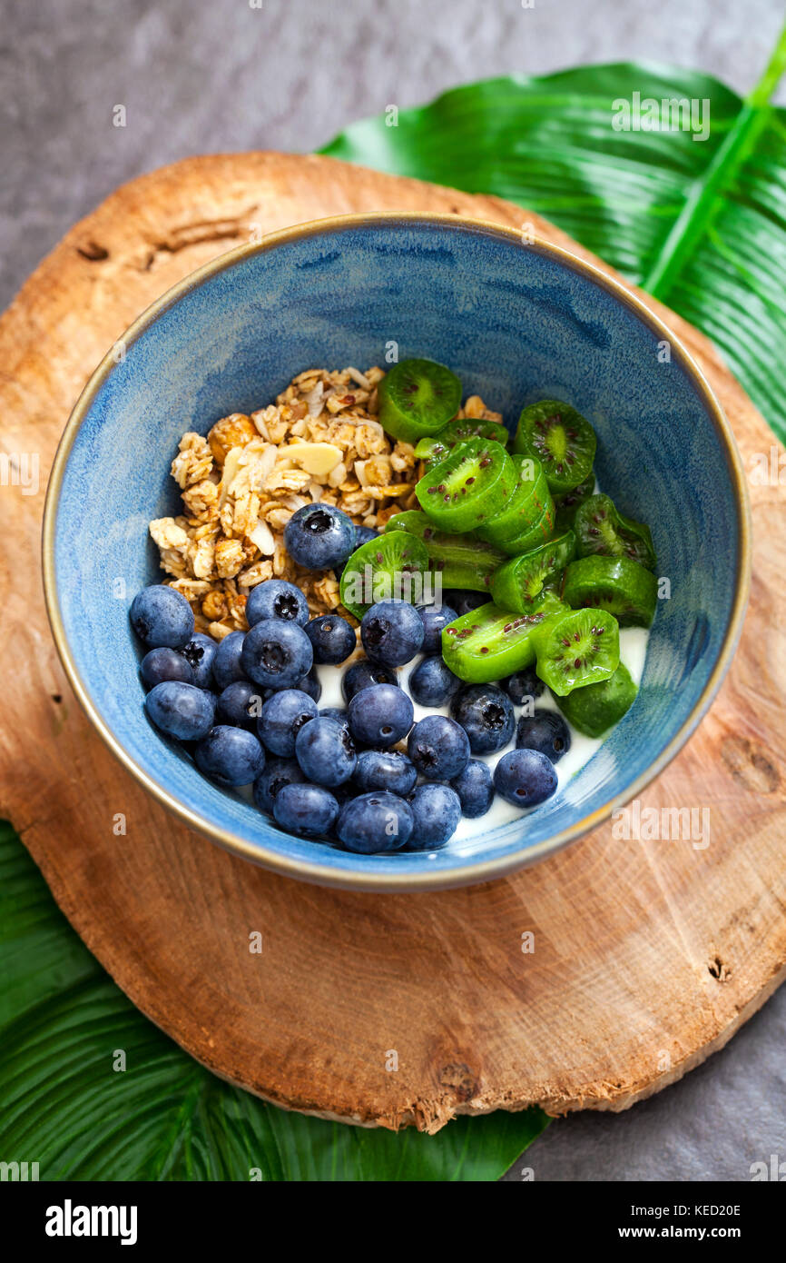 Yaourt avec fruits kiwi, bleuets et granola Banque D'Images