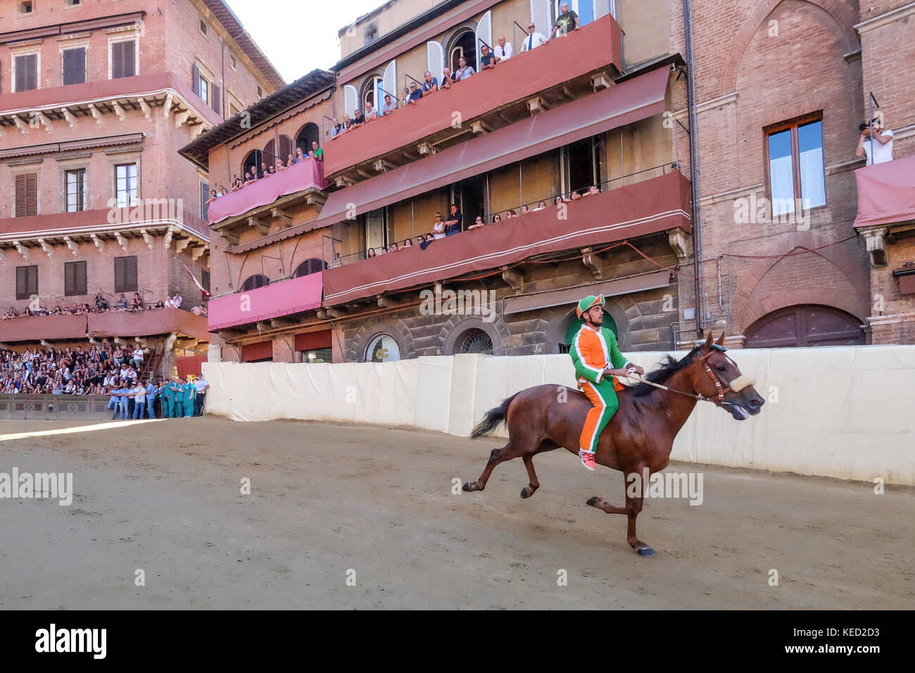 Sienne, ITALIE. 15 août 2017. Un cheval court au Palio di Siena Banque D'Images