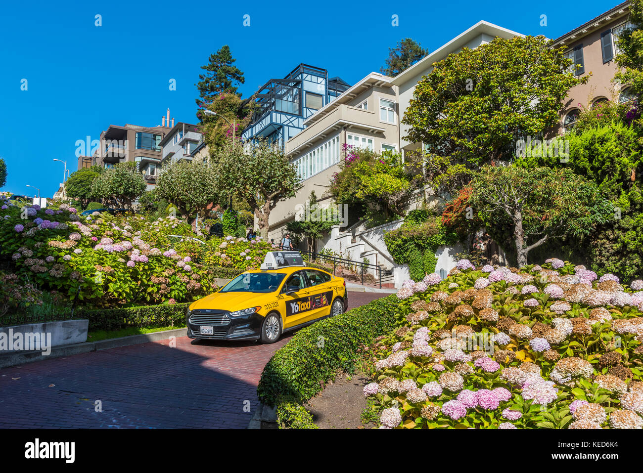 Lombard Street, San Francisco, California, USA Banque D'Images