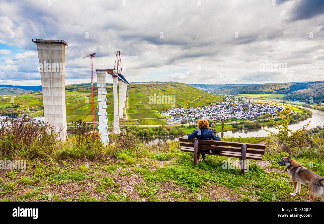 Moselle Vineyads Hochmoselbruecke et paysage sous semi Allemagne Banque D'Images