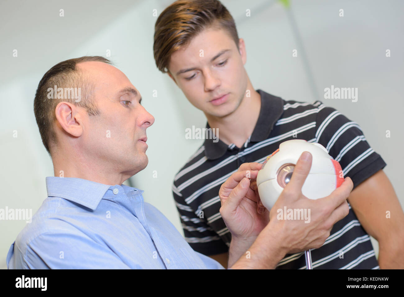 Un modèle d'œil ophtalmologiste holding Banque D'Images