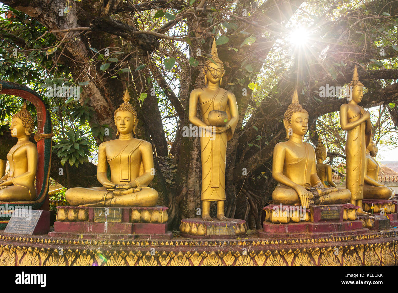 Statues de Bouddha du Wat Pha That Luang, Vientiane, Laos. Banque D'Images