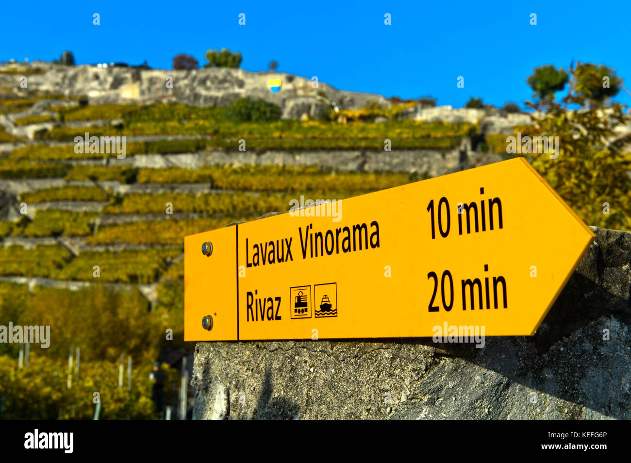 Signe à la directionnelle lavaux vinorama dans le village viticole de rivaz  dans le lavaux, Vaud, Suisse Photo Stock - Alamy