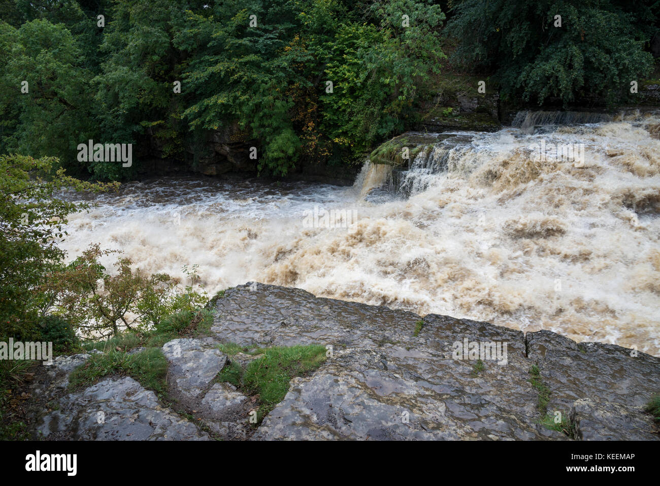Scetion inférieur d'aysgarth Falls, North Yorkshire dans le plein débit après de fortes pluies. Banque D'Images