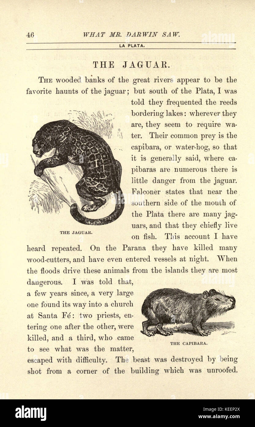 Ce que M. Darwin a vu dans son voyage autour du monde à bord du navire Beagle. (Page 46) BHL21528338 Banque D'Images