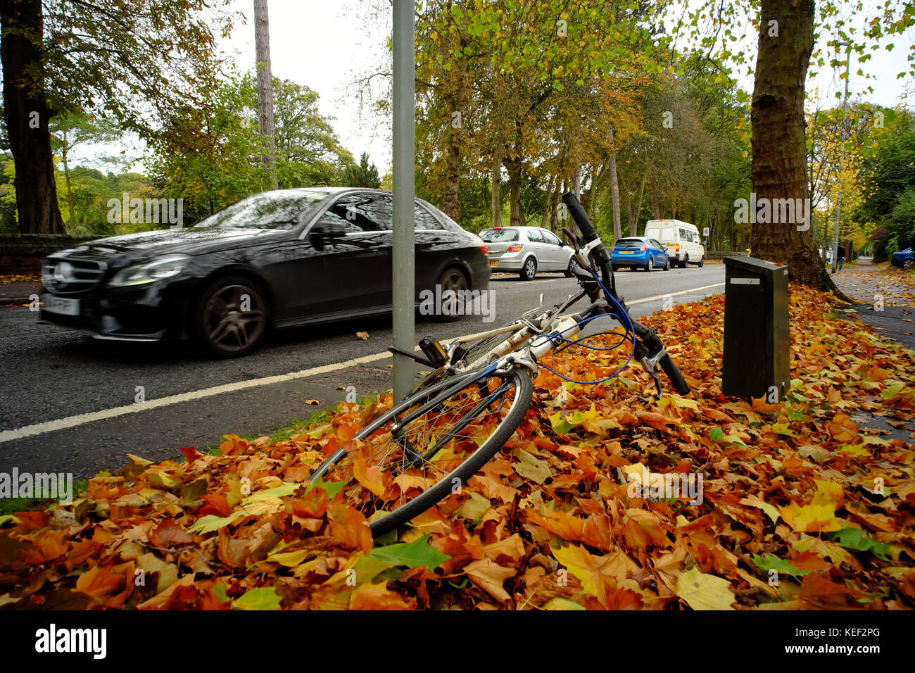 Luton, Royaume-Uni. 20 Oct, 2017. Météo britannique. La plupart du temps gris et sombre à Luton, natures encore briller les couleurs de l'automne, Luton, Bedfordshire, Angleterre Banque D'Images