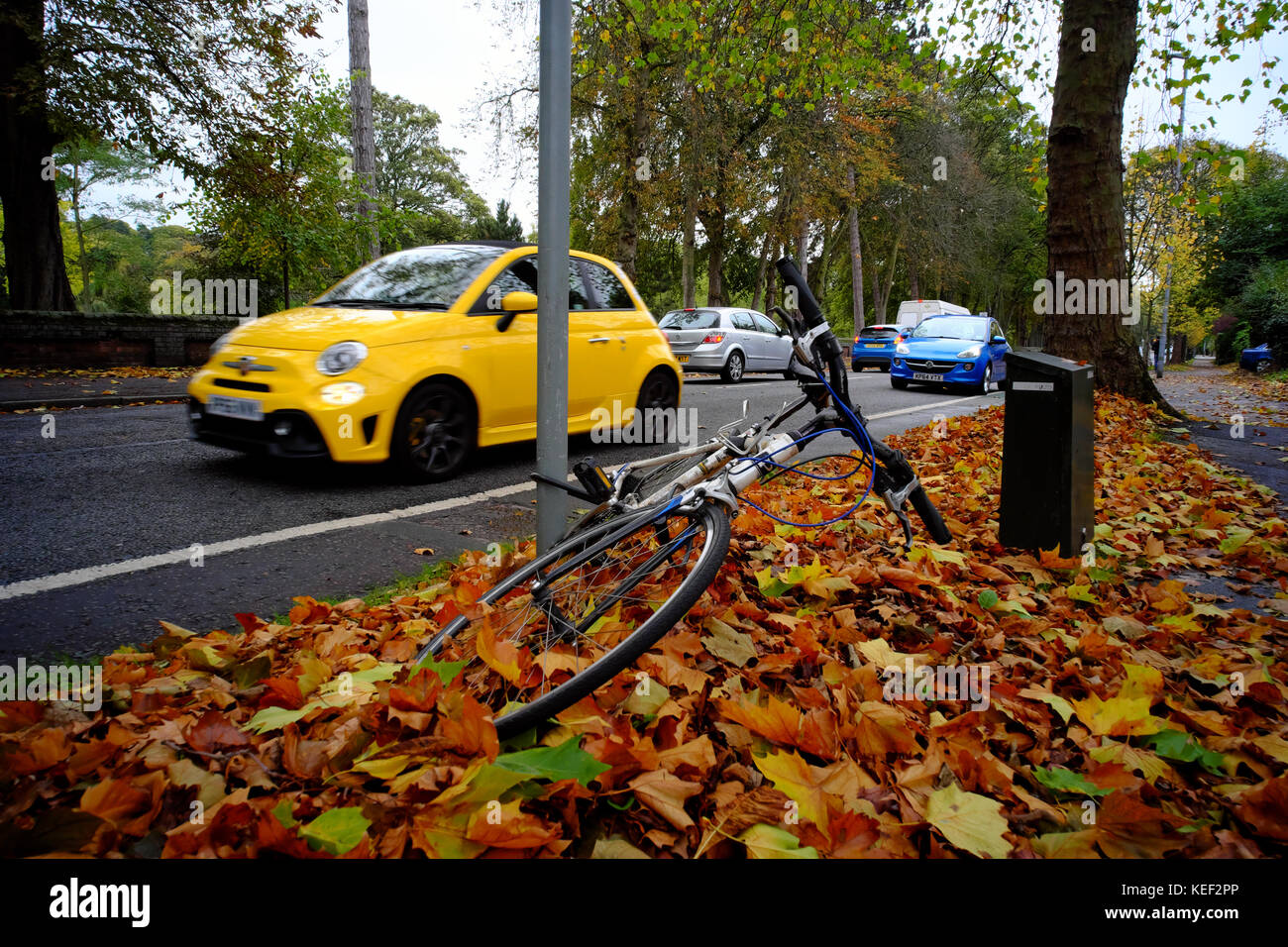 Luton, Royaume-Uni. 20 Oct, 2017. Météo britannique. La plupart du temps gris et sombre à Luton, natures encore briller les couleurs de l'automne, Luton, Bedfordshire, Angleterre Banque D'Images