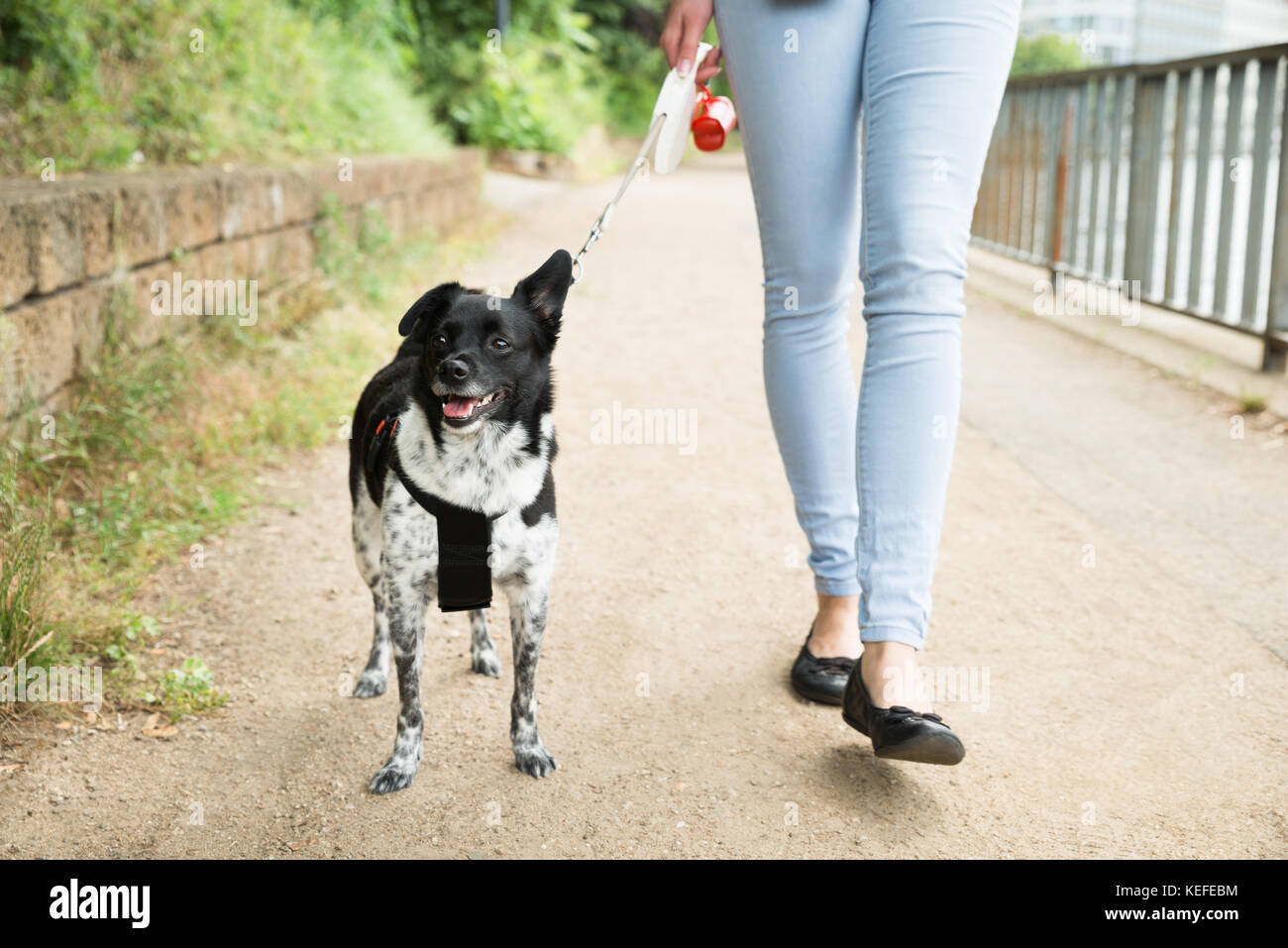 Young Woman Walking With Her Dog On Street Banque D'Images