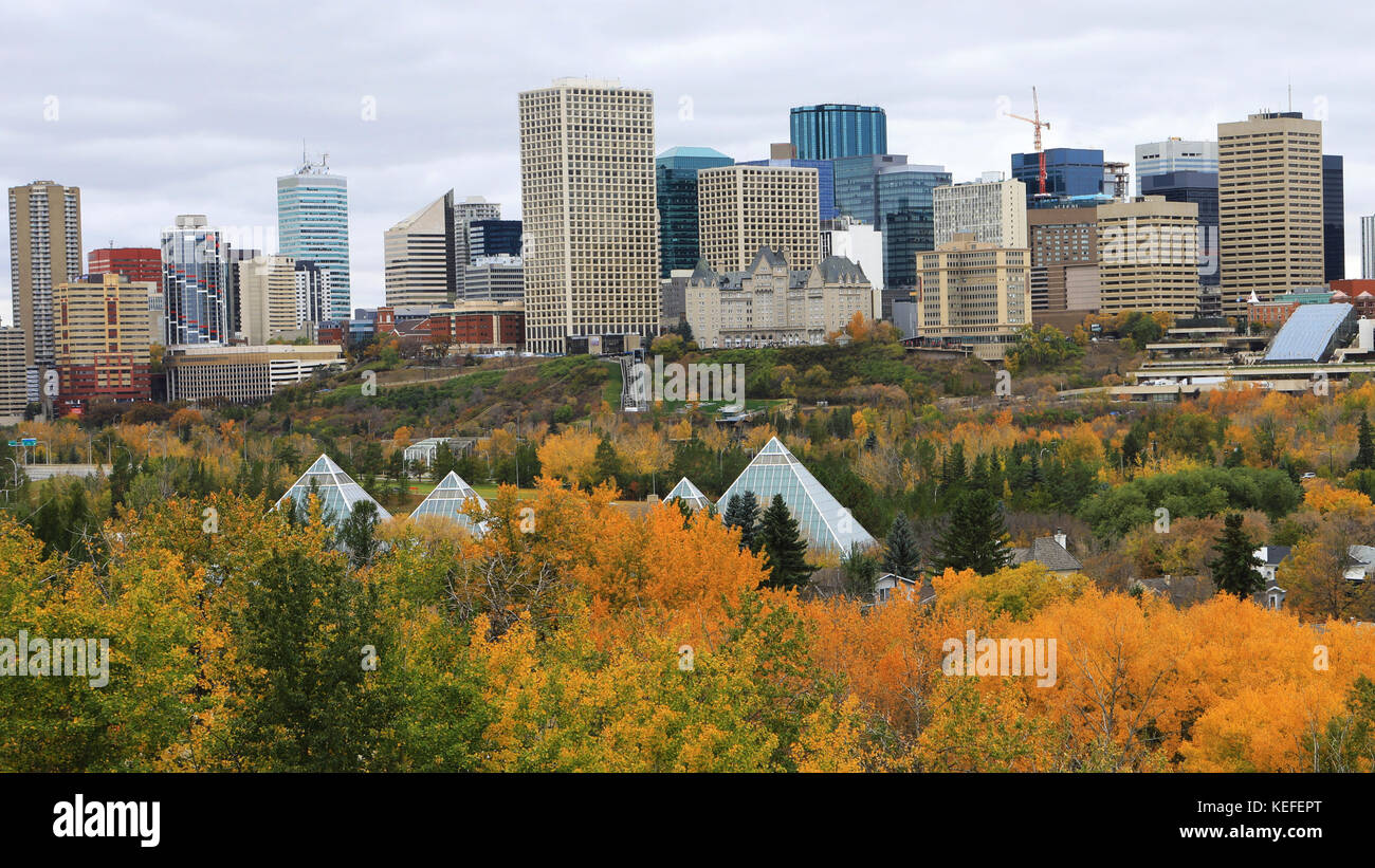 Le centre-ville d'Edmonton, Canada avec aspen colorés en premier plan Banque D'Images