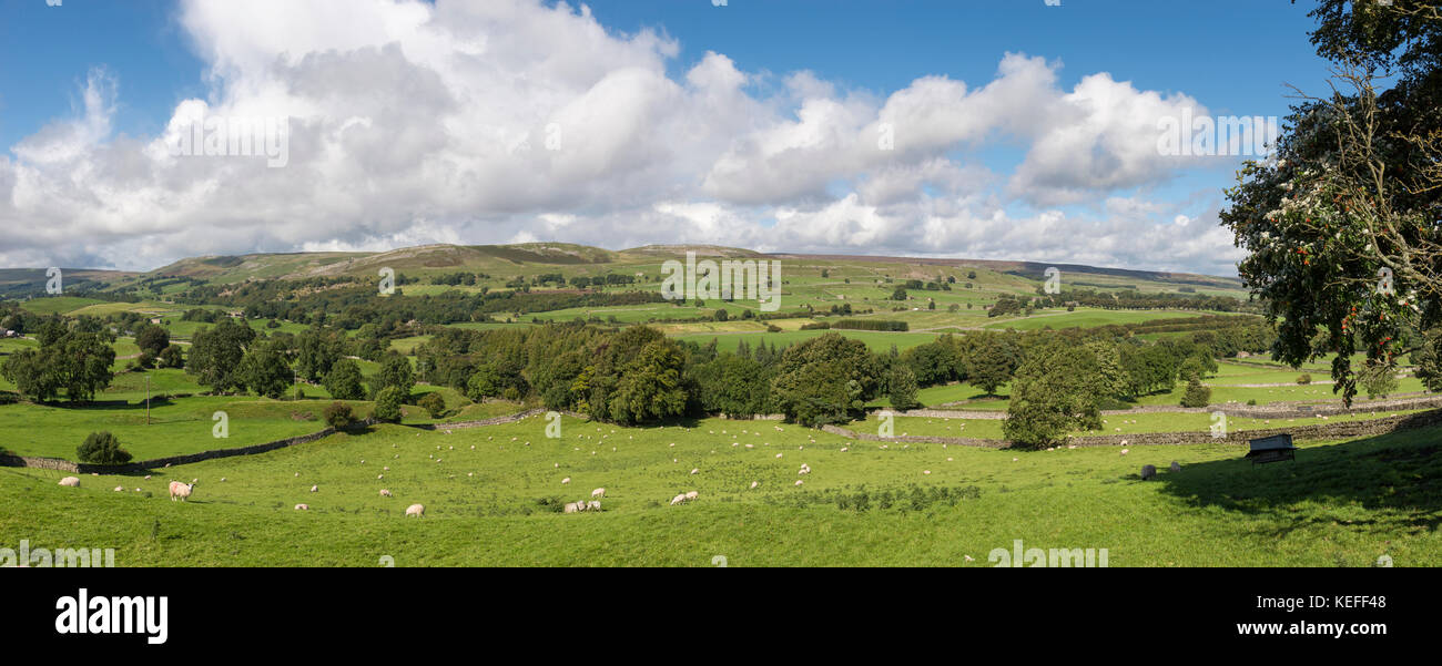 Panorama de belle campagne verdoyante dans Wensleydale, Yorkshire Dales, Angleterre. Banque D'Images