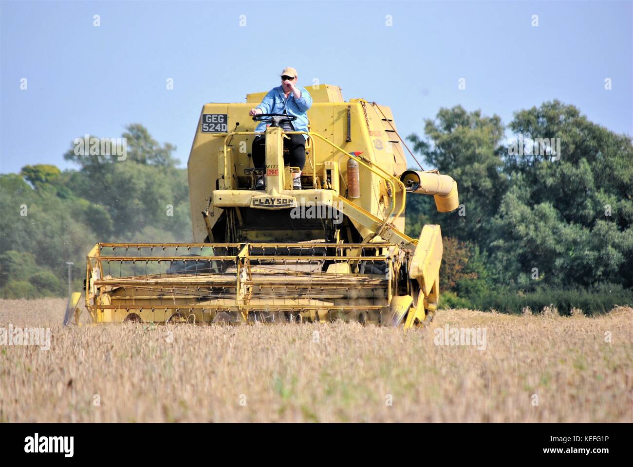 Cabine ouverte ancienne moissonneuse-batteuse new holland jaune de la récolte de cultures d'une exploitation agricole en 2017 Banque D'Images