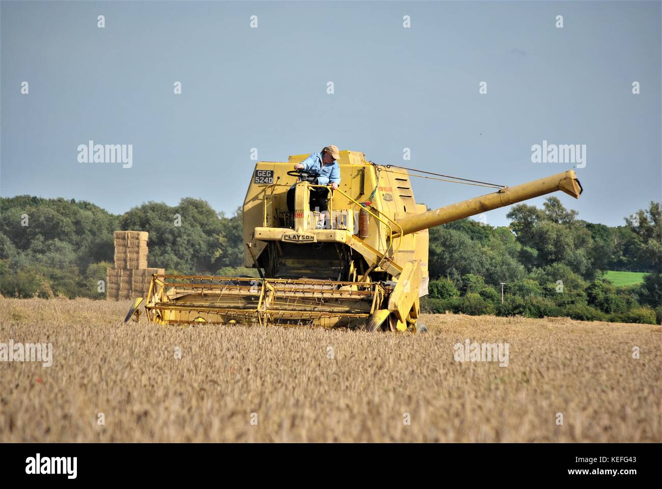 Cabine ouverte ancienne moissonneuse-batteuse new holland jaune de la récolte de cultures d'une exploitation agricole en 2017 Banque D'Images