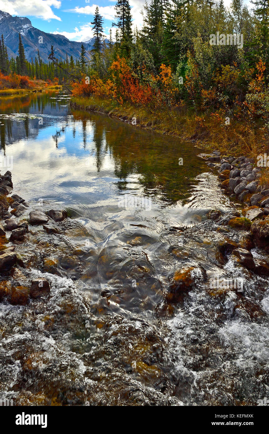 Une chute libre verticale d'un ruisseau avec feuillage d'automne le long de ses rives dans le parc national Jasper, Alberta Canada. Banque D'Images