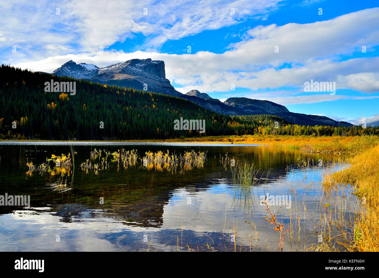 Un paysage d'automne image de la Roche Miette mountain debout à l'entrée du Parc National Jasper en Alberta, Canada. Banque D'Images