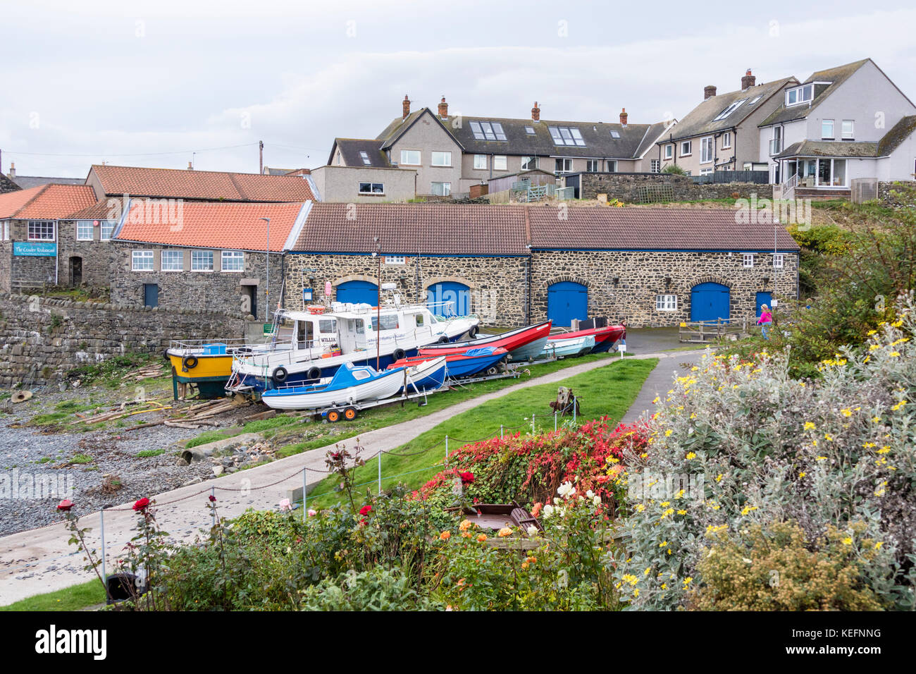 Craster, un petit village de pêcheurs sur la côte de Northumbrie en Angleterre. UK Banque D'Images
