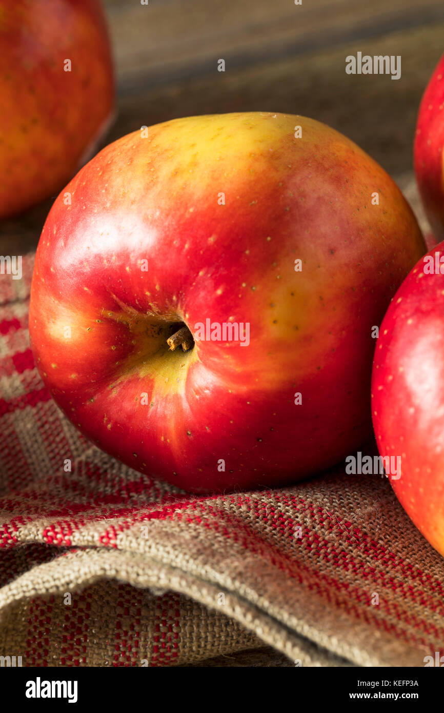 Matières organiques rouge tango doux Pommes gala prêt à manger Banque D'Images