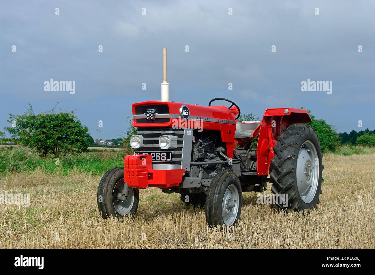 Tracteur Massey Ferguson MF 165 Banque D'Images