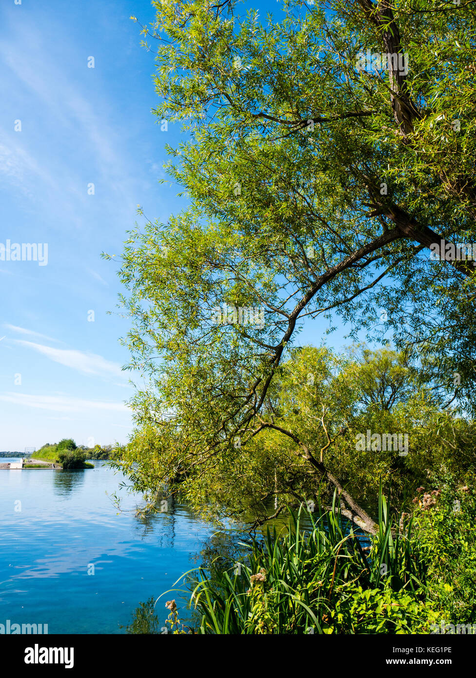 Caversham Lakes, Oxfordshire, Angleterre, Royaume-Uni, GB. Banque D'Images