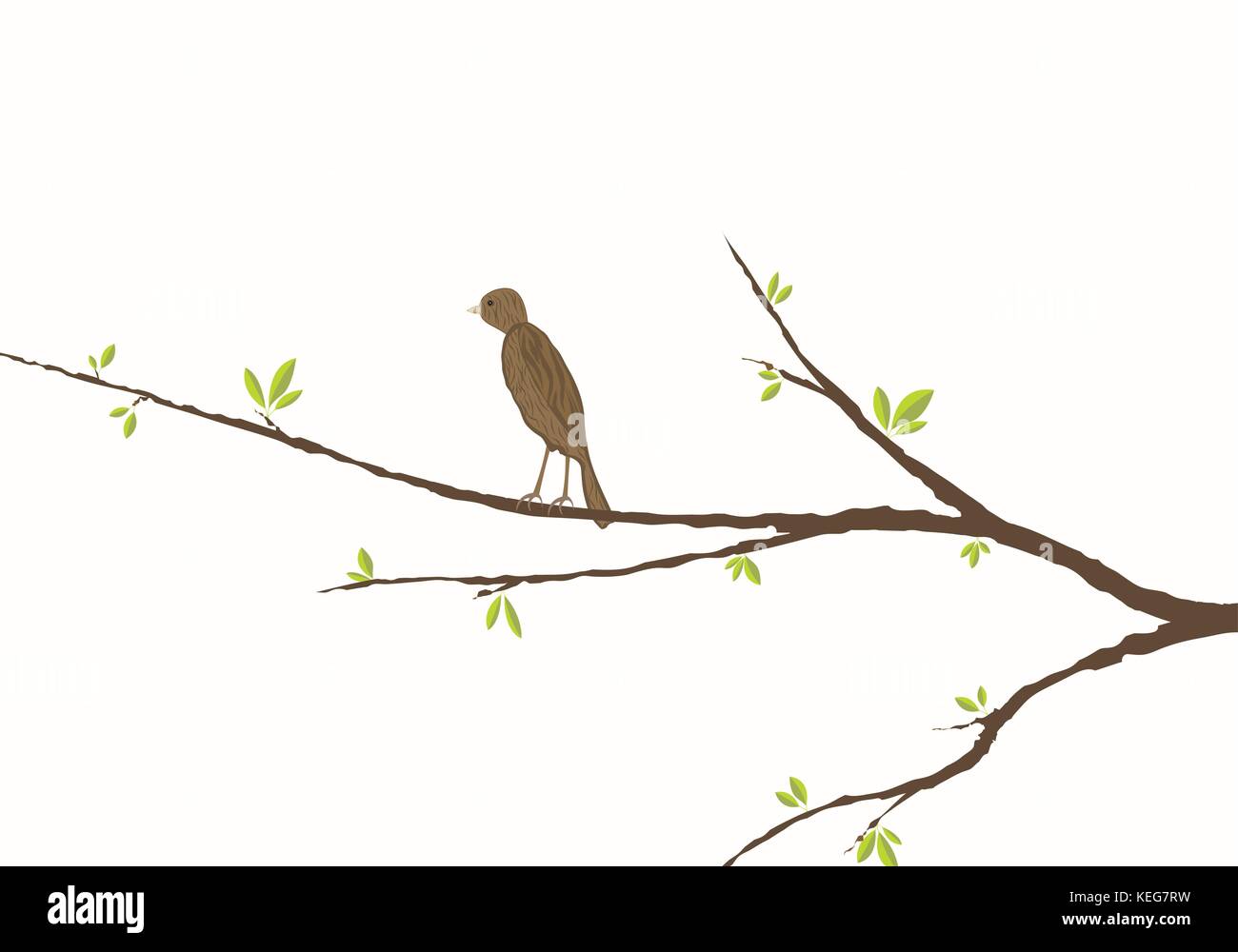Oiseau posé sur une branche avec des feuilles vertes Illustration de Vecteur