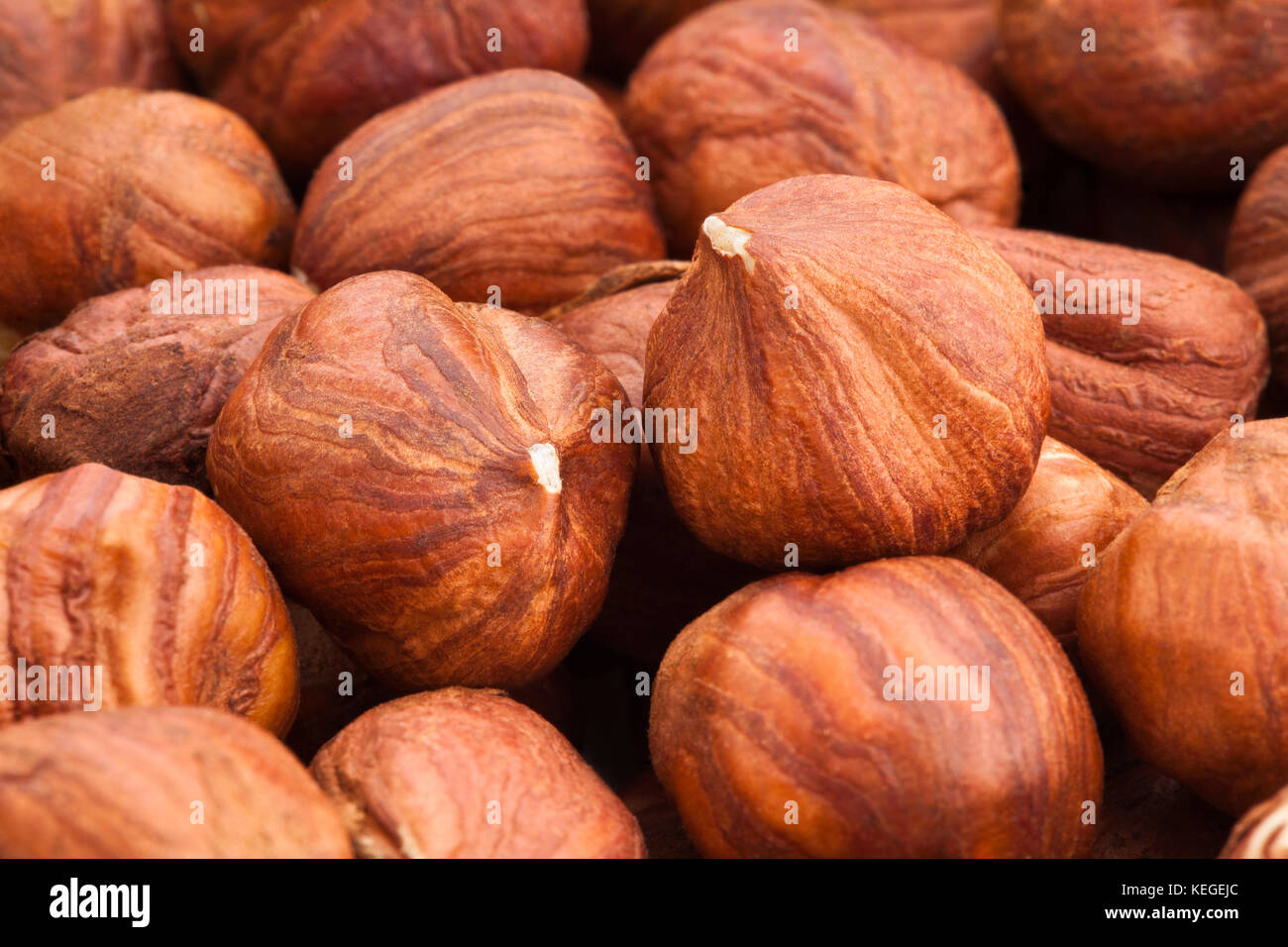 Gros plan macro de noisette Banque D'Images