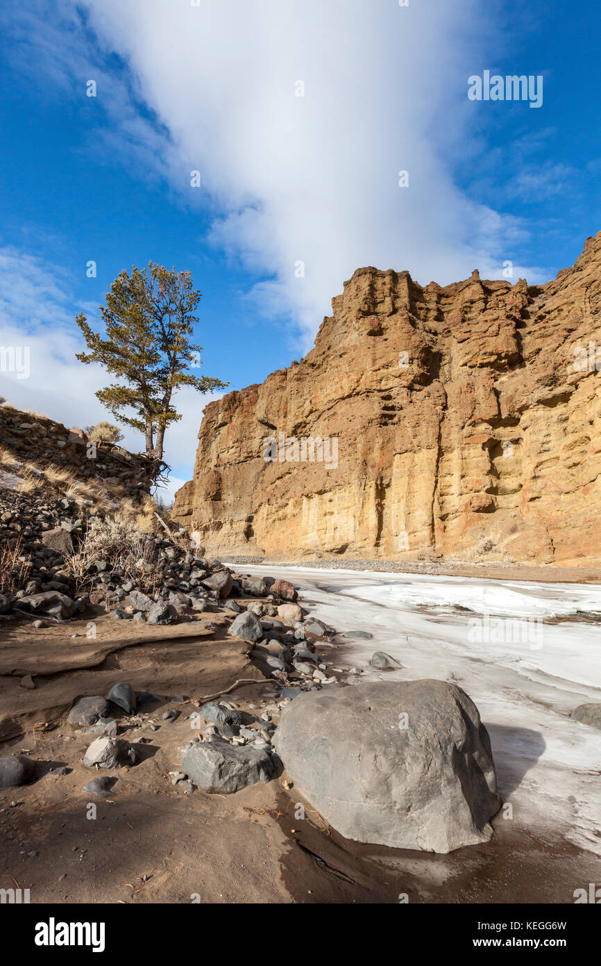 Rivière shoshone dans la forêt nationale de Shoshone du Wyoming en hiver Banque D'Images