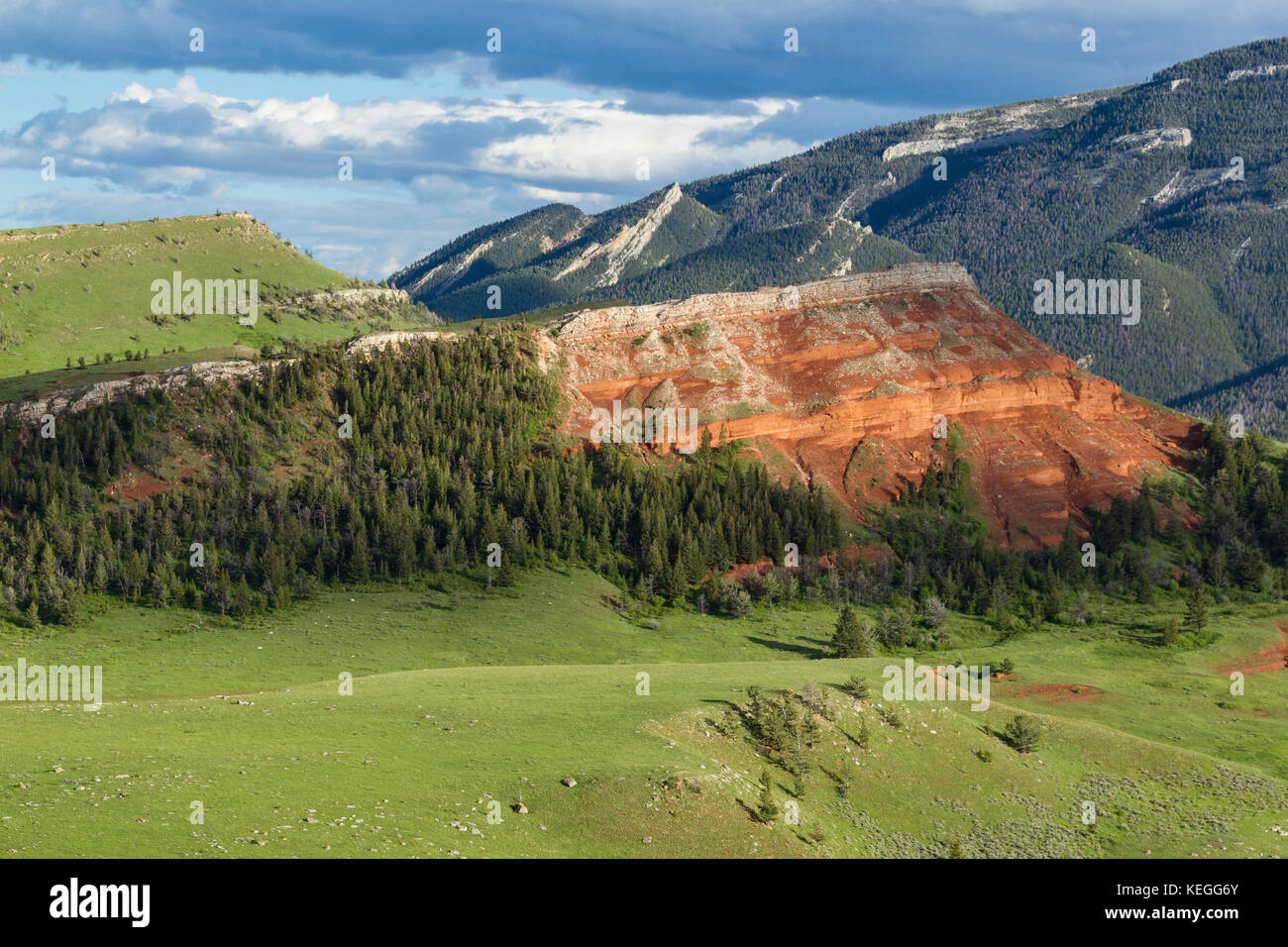 L'affleurement de chugwater le long de la formation asaroka frone dans la forêt nationale de Shoshone Wyoming Banque D'Images