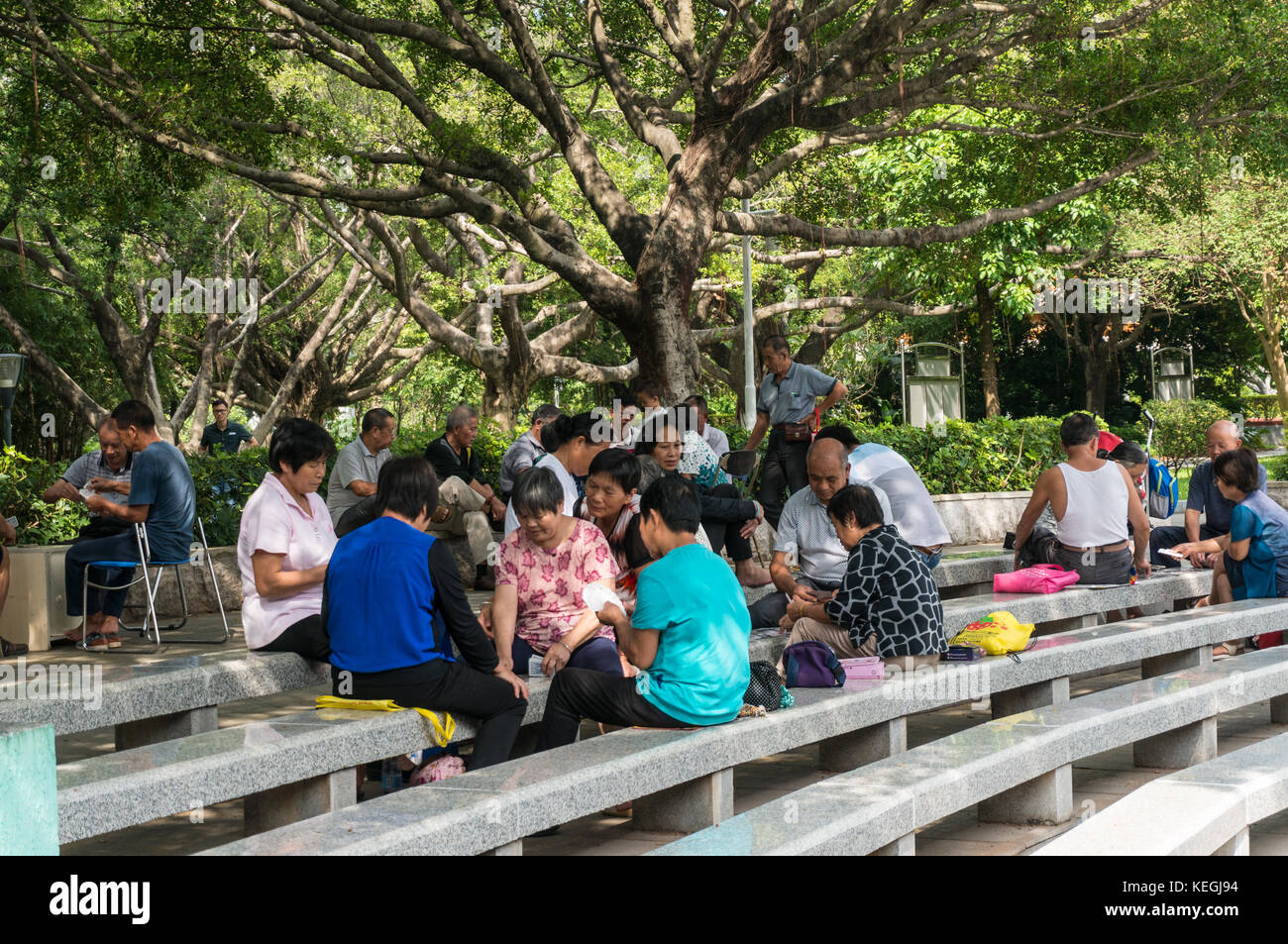 Les personnes âgées des cartes à jouer dans un parc à Shenzhen, province de Guangdong, Chine Banque D'Images
