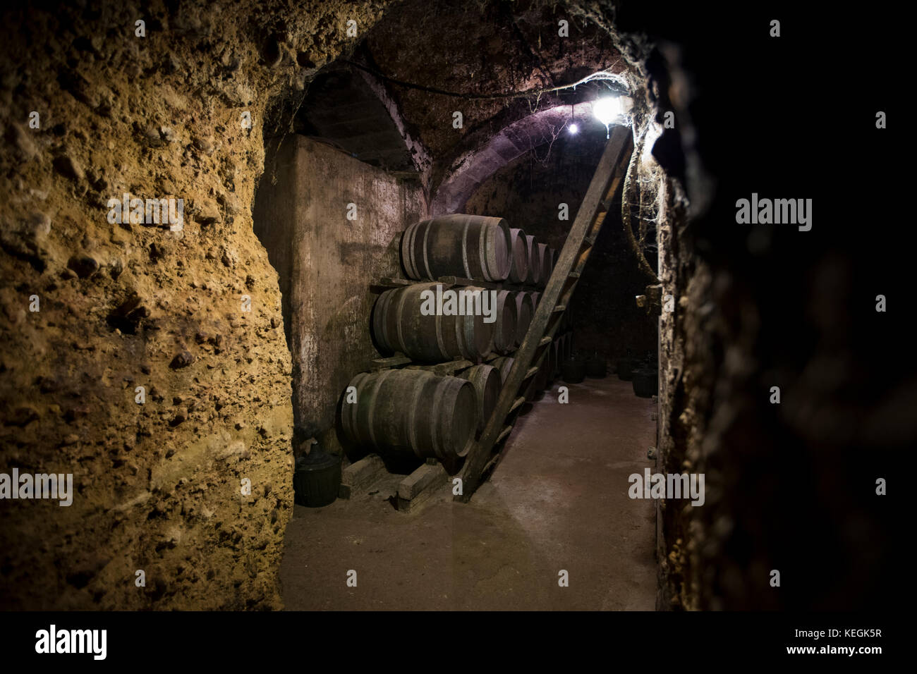 Fûts de vin de Rioja en chêne américain venant à maturité à la cave Carlos San Pedro Bodega dans la cave souterraine de Laguardia, Espagne Banque D'Images Fûts de vin de Rioja en chêne américain venant à maturité à la cave Carlos San Pedro Bodega dans la cave souterraine de Laguardia, Espagne Banque D'Images